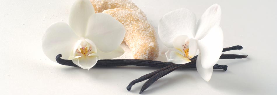 Woraus wird Vanille gemacht?